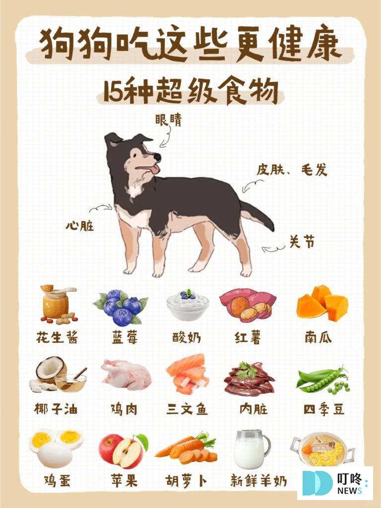 狗狗肚子一直叫怎麼辦?很可能是這4大因素所造成!釐清狗狗肚子的所有問題,必看狗狗營養保健總整理 狗狗零食推薦 健康+無毒+營養 (2025熱銷款) 狗狗飲食健康