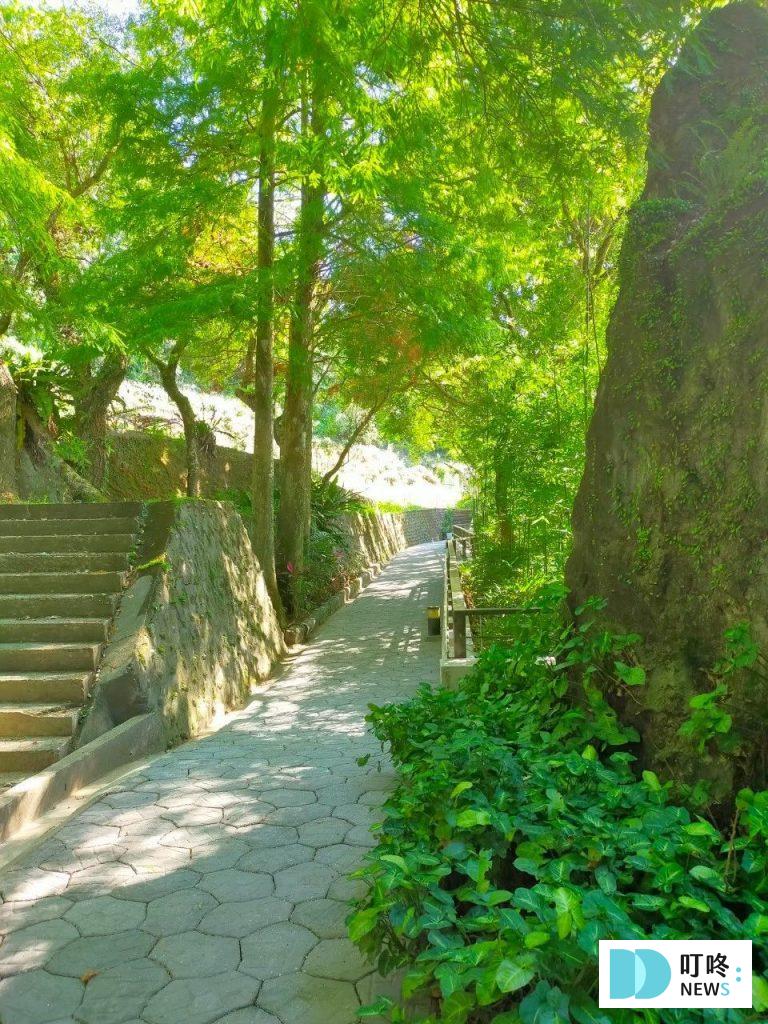 坪林茶葉博物館|新北景點一日遊:特色介紹、交通停車、門票、餐廳用餐、步道,深度感受茶葉文化 坪林茶葉博物館步道