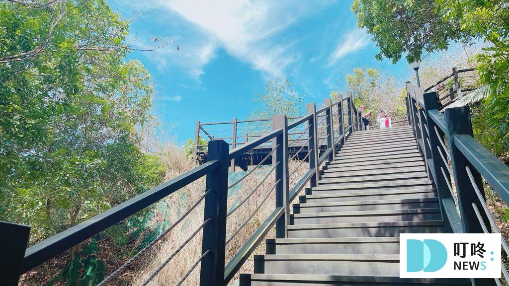 【台中大坑9號步道】怎麼去、天氣、停車場、美食攻略:超普通水煎包、魚丸伯虱目魚丸、源流冬瓜檸檬,銅板美食呷透透 叮咚News|分享新奇與樂趣
