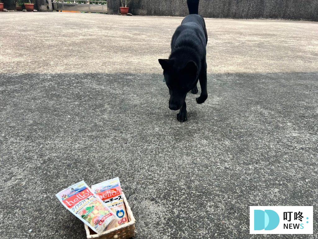 狗狗零食開箱|狗起司推薦:Hello角切起司塊、起司條真實評價、狗零食怎麼挑一次看 狗起司推薦:Hello蔬菜角切起司塊、起司條真實開箱評價2
