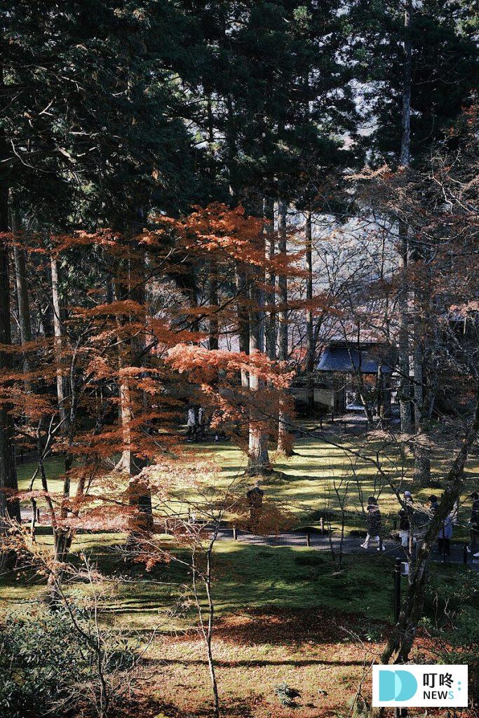 京都自由行怎麼玩?住宿、交通、景點跟著行家一起規劃旅遊攻略! 京都景點-三千院