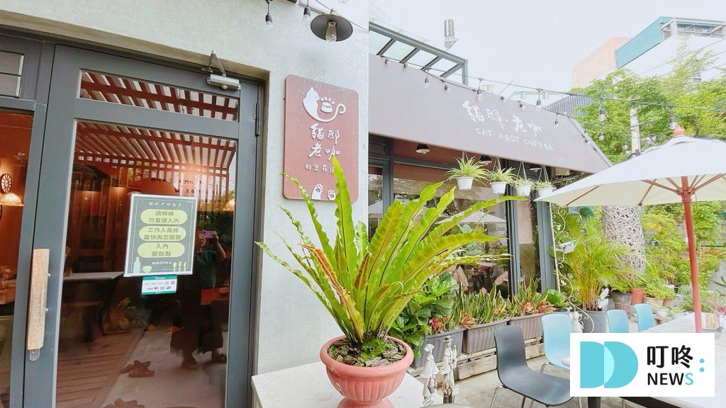 貓邸老咖|台中寵物友善義式庭園餐廳:菜單、台中貓咪、狐獴餐廳 叮咚News|分享新奇與樂趣