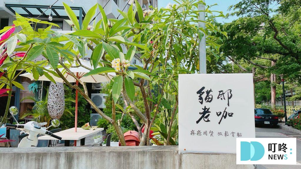 貓邸老咖|台中寵物友善義式庭園餐廳:菜單、台中貓咪、狐獴餐廳 貓邸老咖
