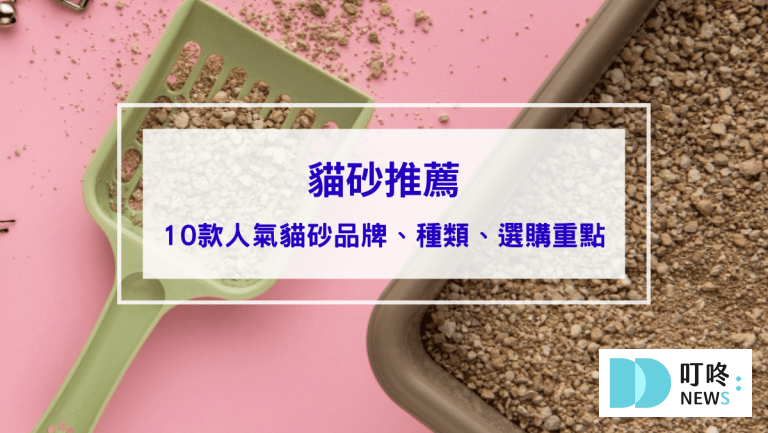 【2024 貓砂推薦】ptt、Dcard十款超人氣貓砂品牌推薦，貓砂種類、選購重點、 使用方式一次看