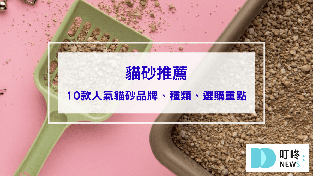 【2024 貓砂推薦】ptt、Dcard十款超人氣貓砂品牌推薦，貓砂種類、選購重點、 使用方式一次看