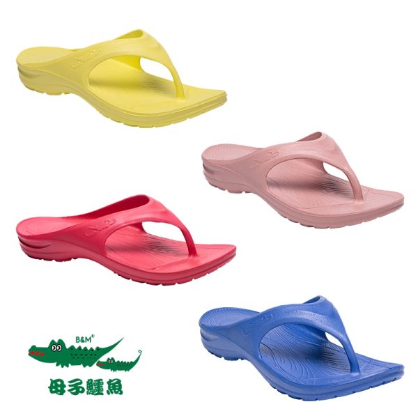 母子鱷魚：圖片 2