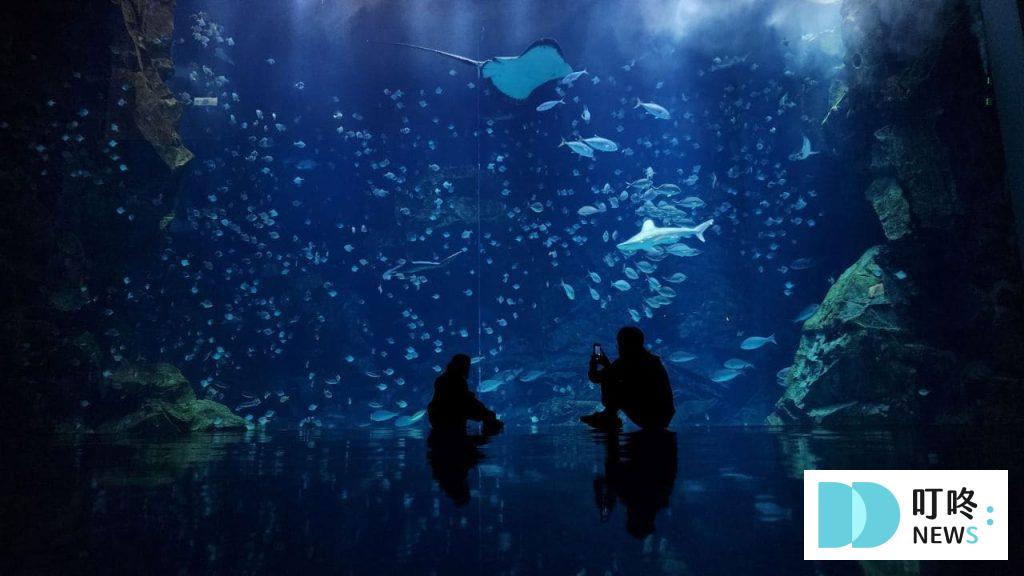 桃園避暑景點｜Xpark 水族館