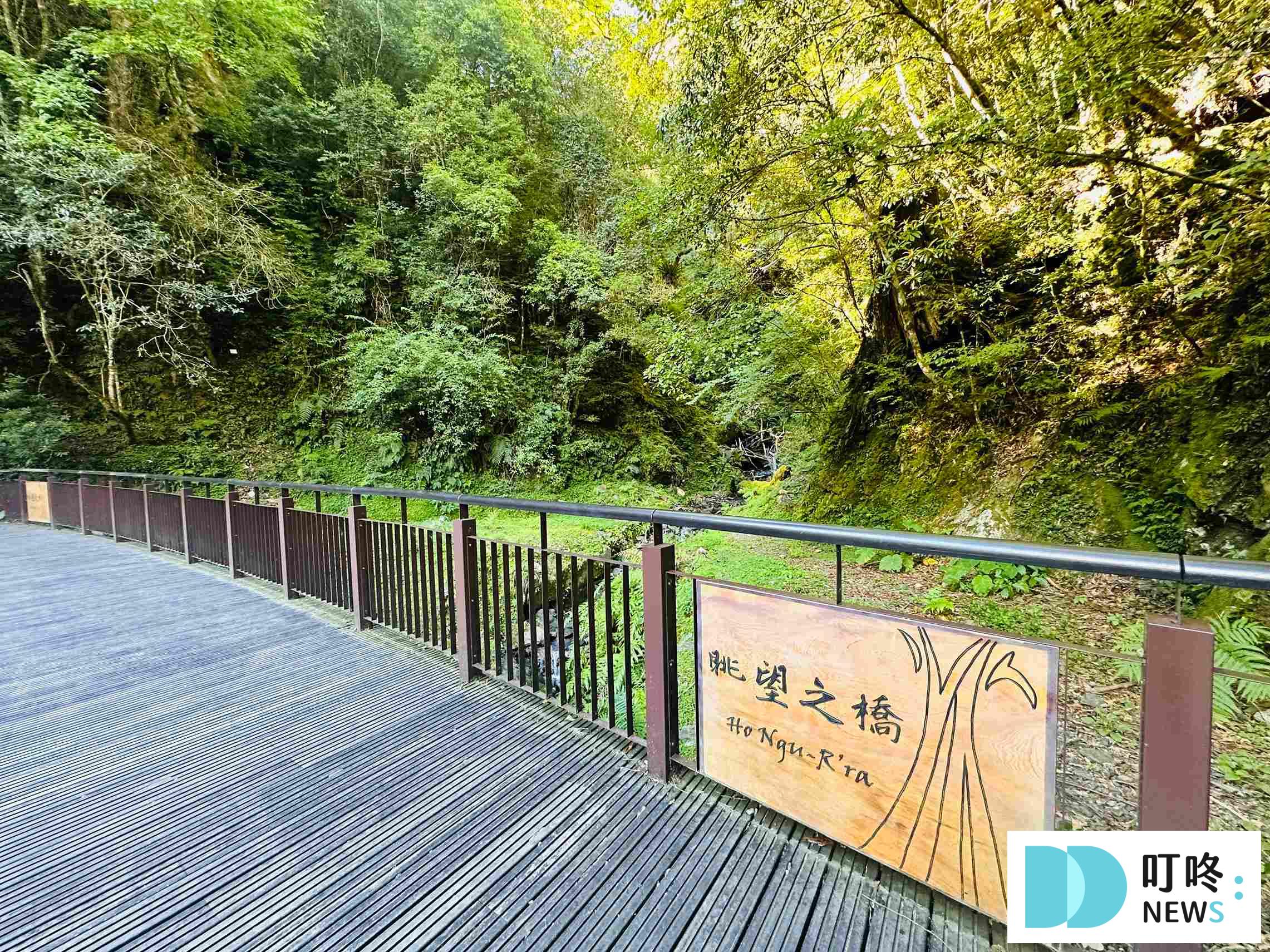【拉拉山行程推薦】兩天一夜這樣排!住宿、景點、餐廳總整理! 拉拉山行程_拉拉山國家公園步道2