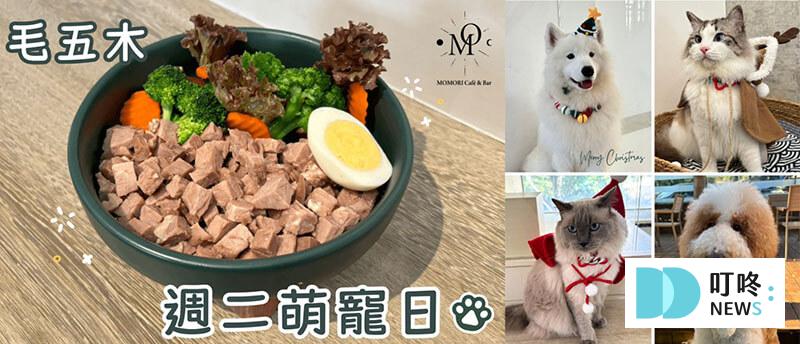 台中餐酒館推薦|精選10家4星評分最高好吃餐酒館,包廂、慶生、約會不踩雷! 叮咚News|分享新奇與樂趣