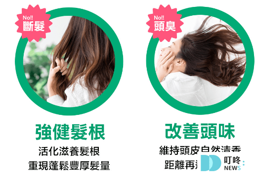 【康定洗髮精】酵素植萃洗髮乳開箱!油頭救星,試用心得完整分享! 康定洗髮精_強健髮根