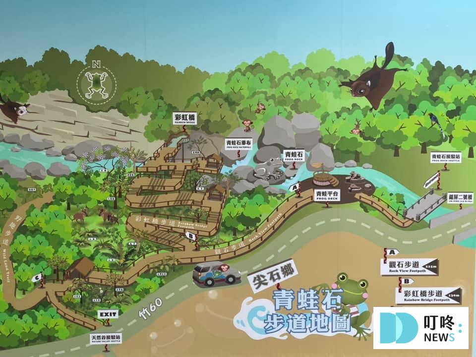 【Z cafe】新竹尖石景觀咖啡店,滿滿森林感,走進網紅藝術館!(內有最新菜單) 叮咚News|分享新奇與樂趣