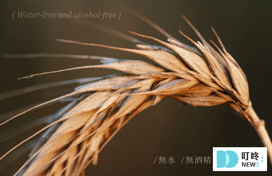 【KAFEN乾洗髮開箱】價格、購買管道、試用心得總整理! KAFEN乾洗髮_乾洗髮2