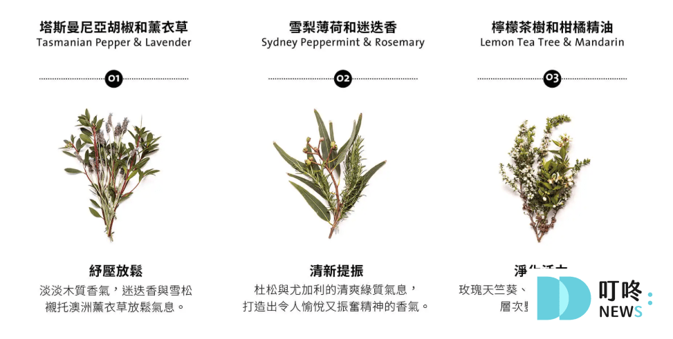 BONDI WASH地板清潔液_香味