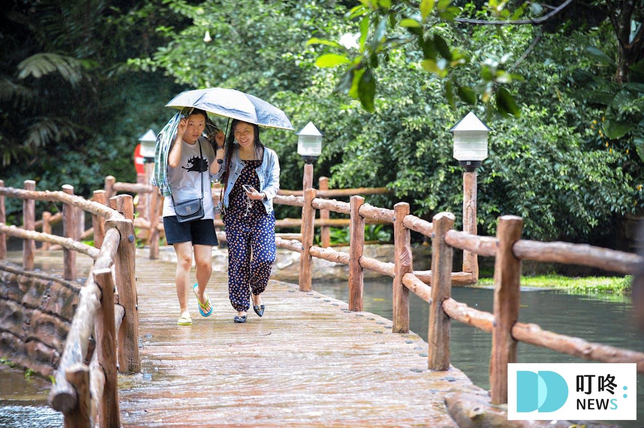 2025摺疊傘推薦|梅雨季必備!10款超強防曬、抗UV摺疊傘,晴雨兩用、自動開收超方便! 叮咚News|分享新奇與樂趣
