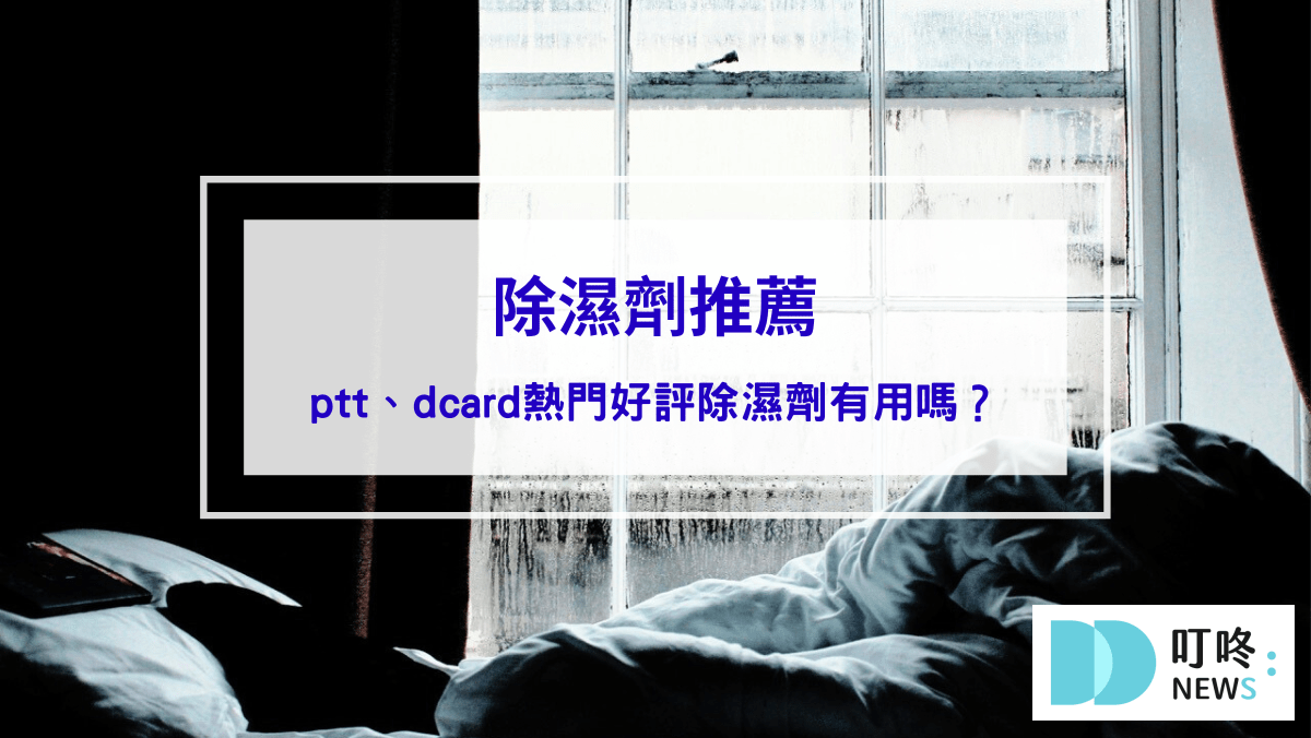 除濕劑推薦｜ptt、dcard熱門好評除濕劑有用嗎？居家必備防潮小物，對抗邊角黴菌，保持櫥櫃乾爽！